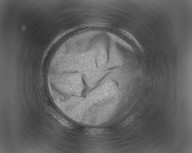 X0000082991027200702230054