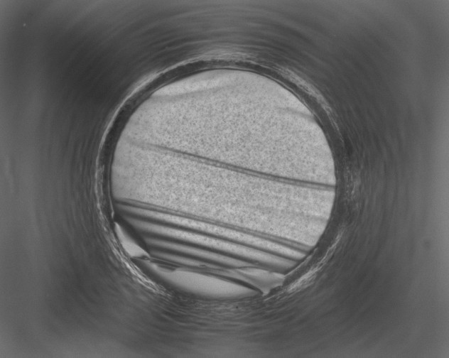 X0000082991029200702230054