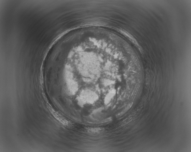 X0000082991031200702230054