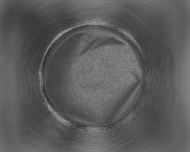 X0000082991032200702230054