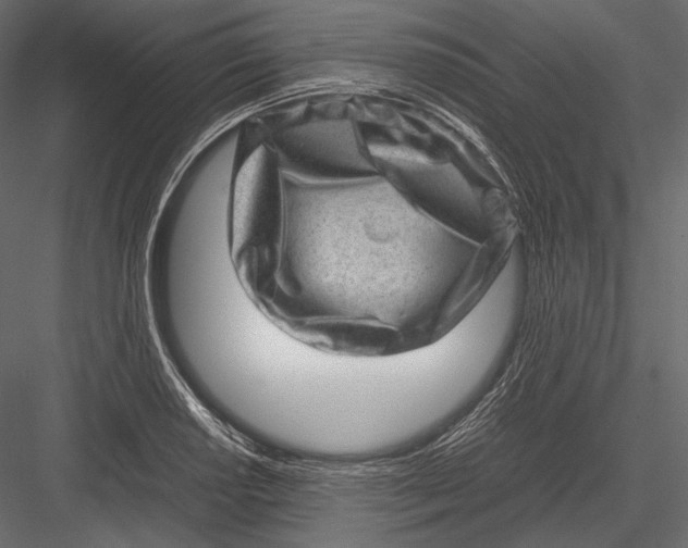 X0000082991034200702230054