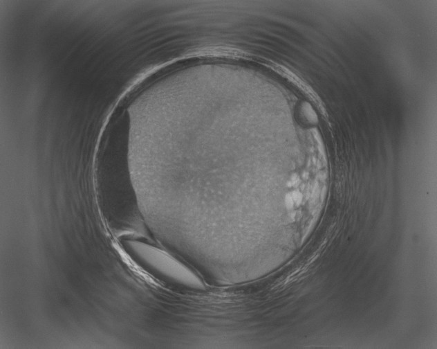 X0000082991037200702230054