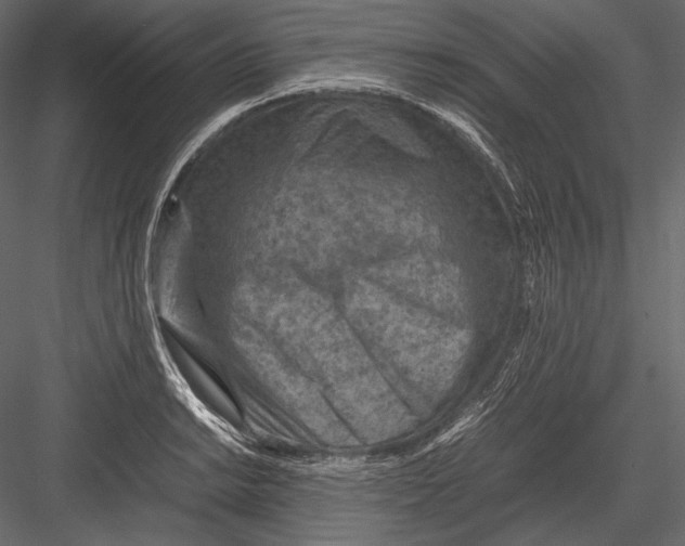 X0000082991038200702230055