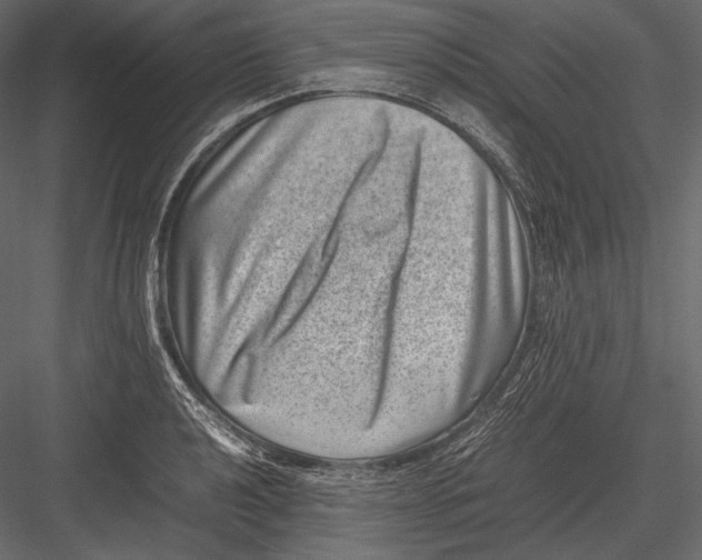 X0000082991040200702230055