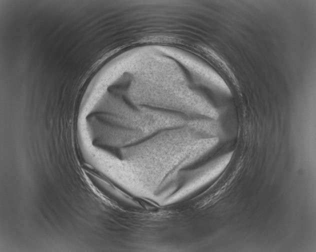 X0000082991041200702230055