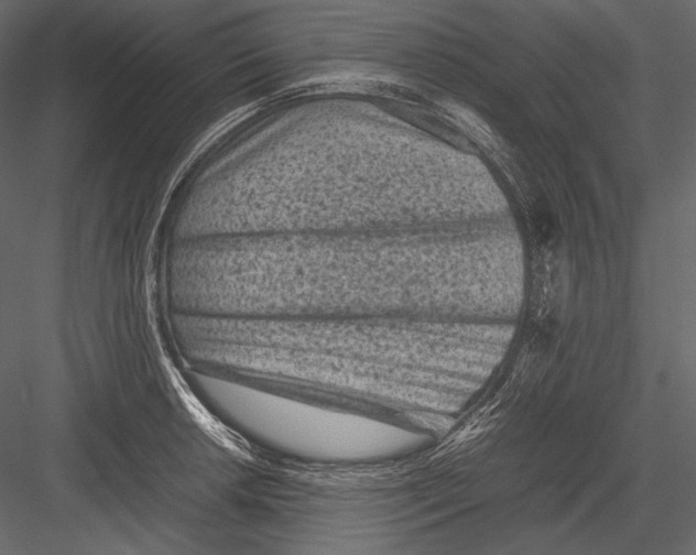 X0000082991042200702230055