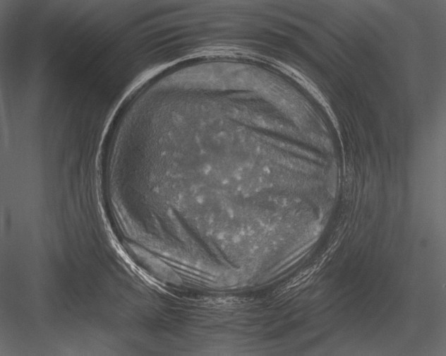 X0000082991045200702230055