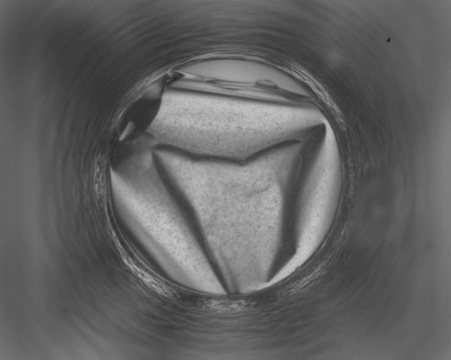 X0000082991049200702230055