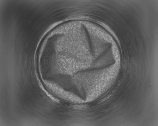 X0000082991053200702230055