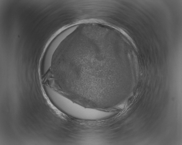 X0000082991054200702230055