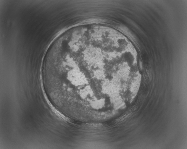 X0000082991055200702230055