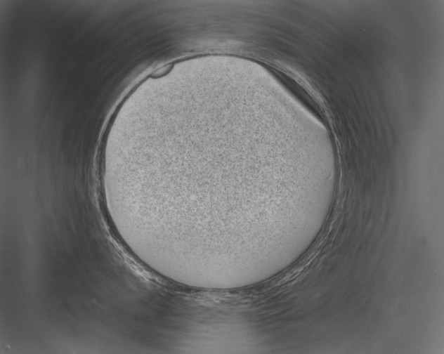 X0000082991056200702230055