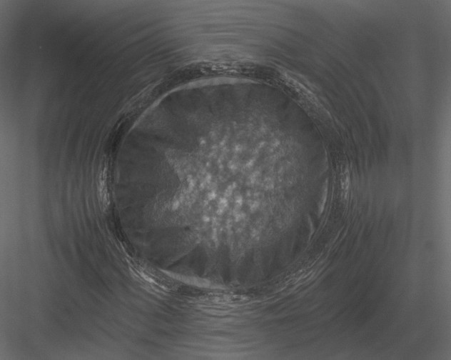 X0000082991060200702230054