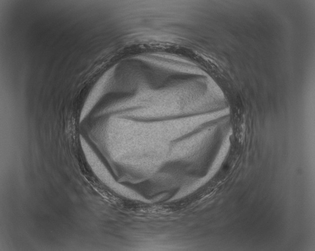 X0000082991061200702230054