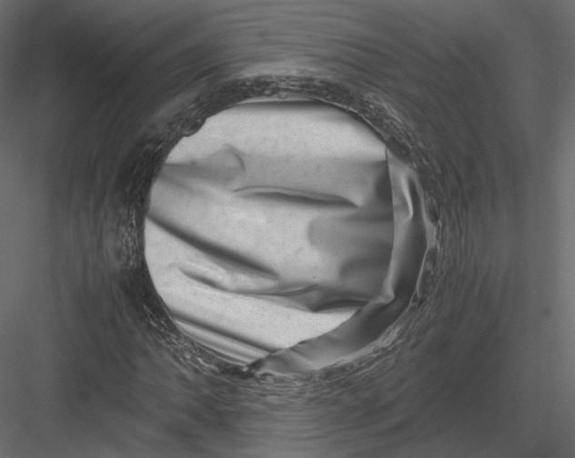 X0000082991062200702230054