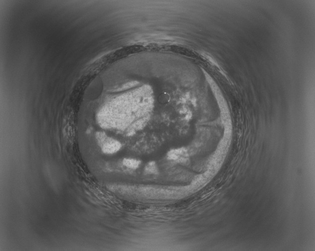 X0000082991063200702230054