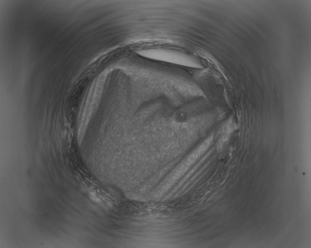 X0000082991064200702230054