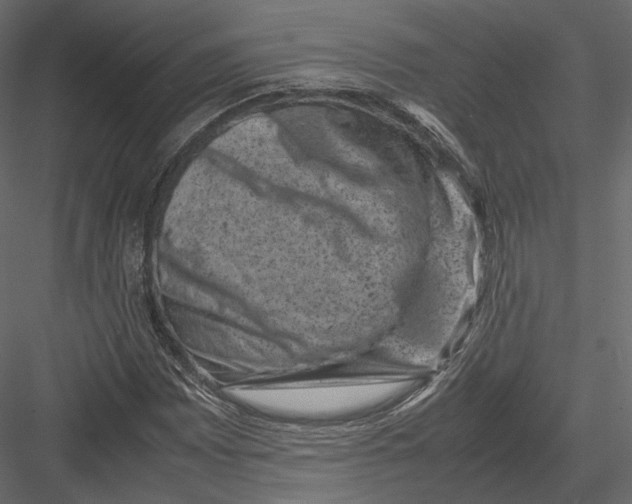 X0000082991065200702230054