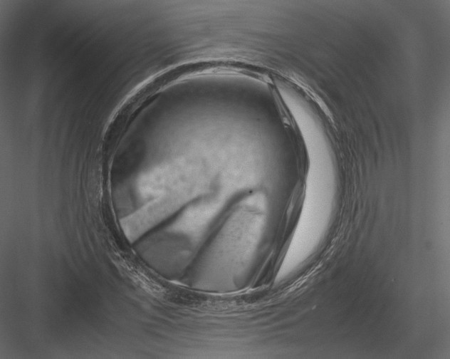 X0000082991069200702230054