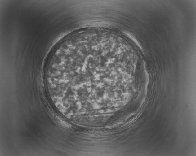 X0000082991071200702230054