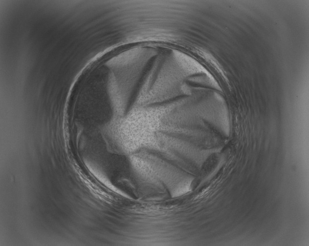 X0000082991072200702230054