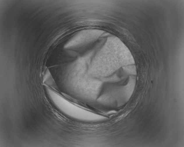 X0000082991073200702230054