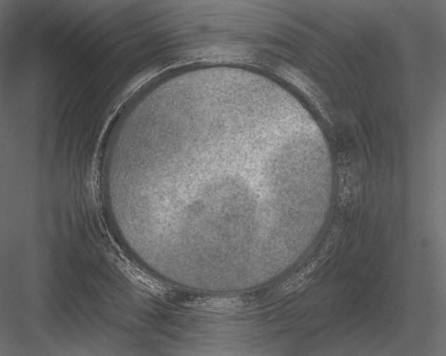 X0000082991074200702230054