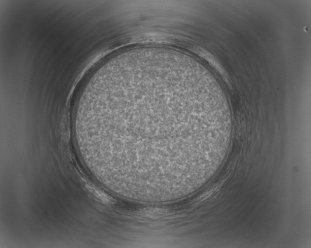 X0000082991075200702230054