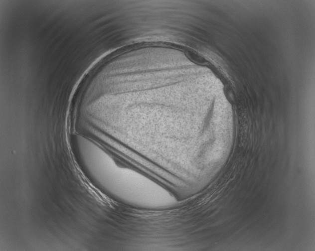 X0000082991076200702230054