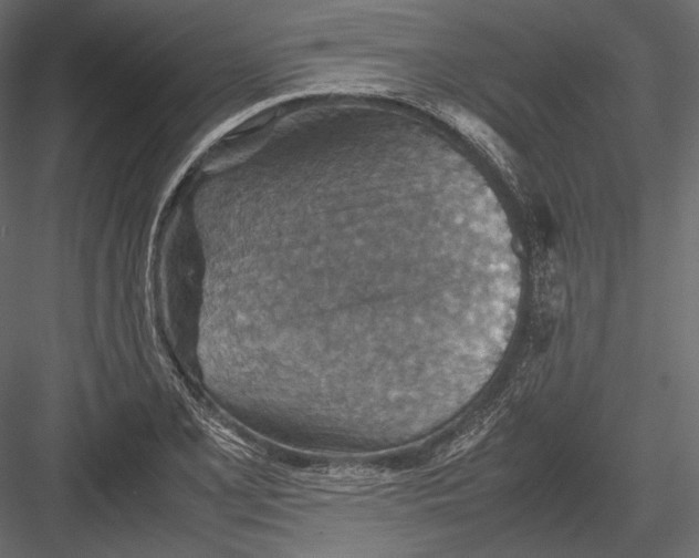 X0000082991077200702230054