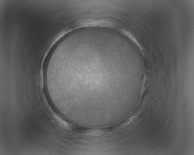 X0000082991079200702230054