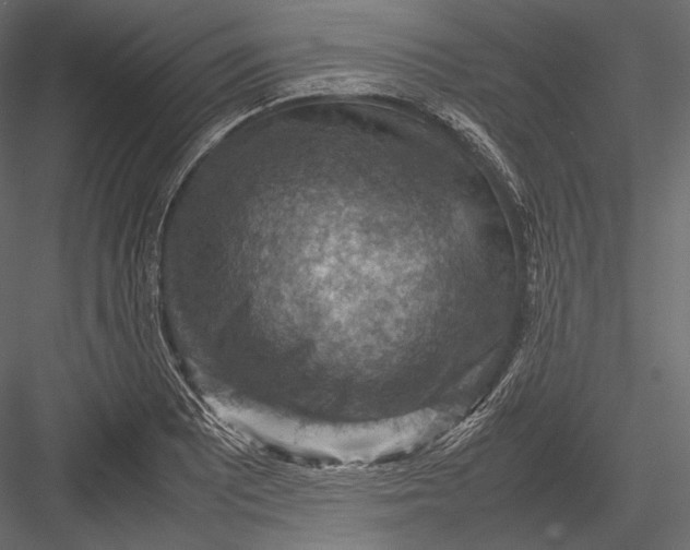 X0000082991081200702230054