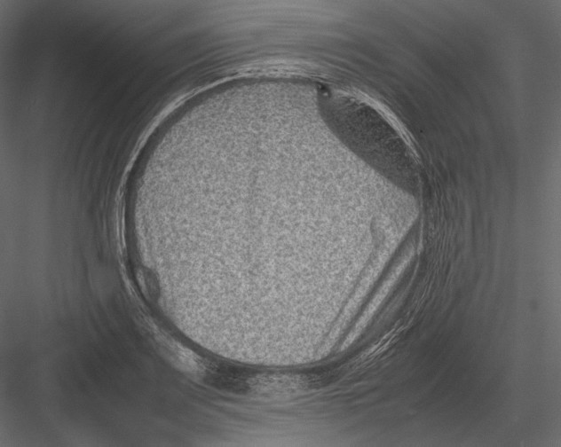 X0000082991083200702230054