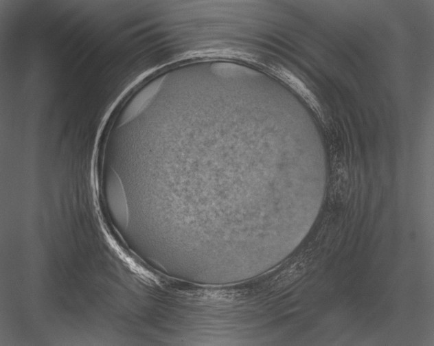 X0000082991084200702230054