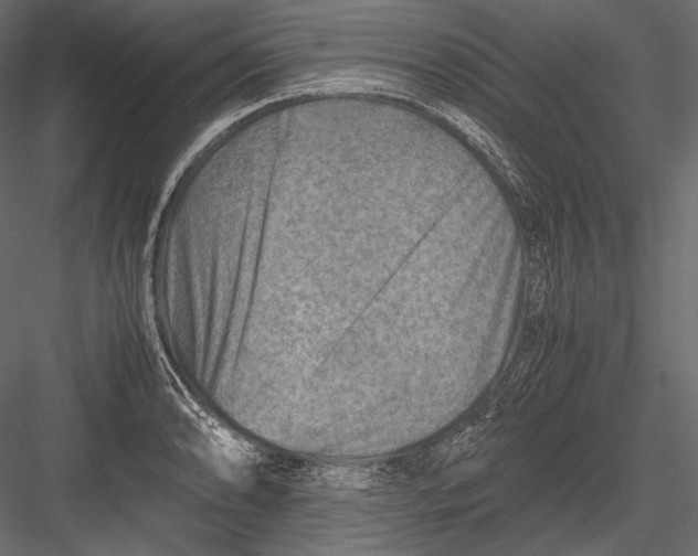 X0000082991086200702230053