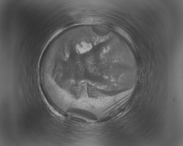 X0000082991087200702230053