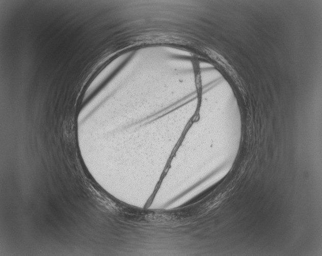 X0000082991089200702230053