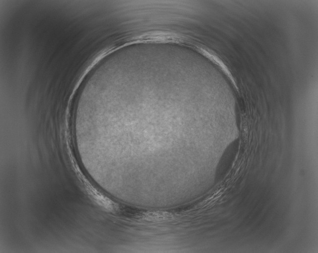 X0000082991091200702230053