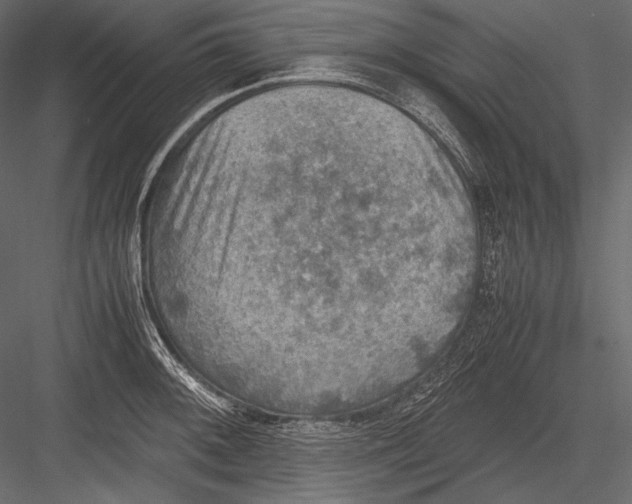 X0000082991092200702230053