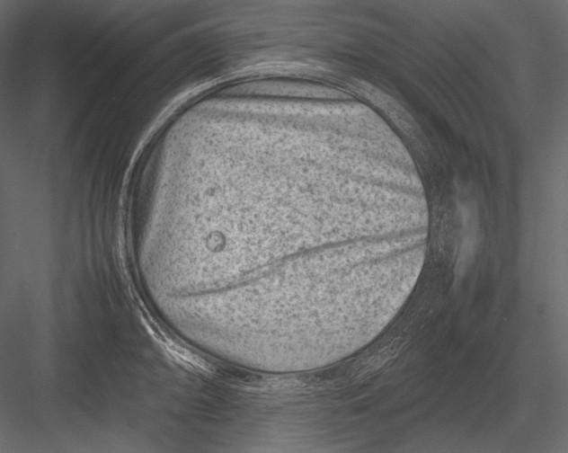 X0000082991094200702230053