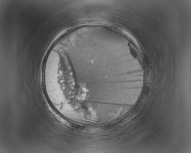 X0000082991095200702230053