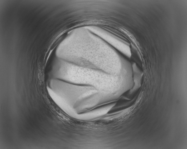 X0000082991097200702230053