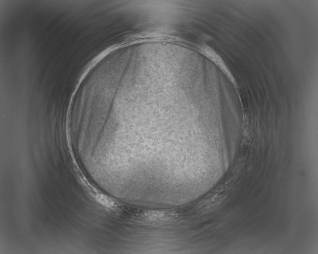 X0000082991098200702230053