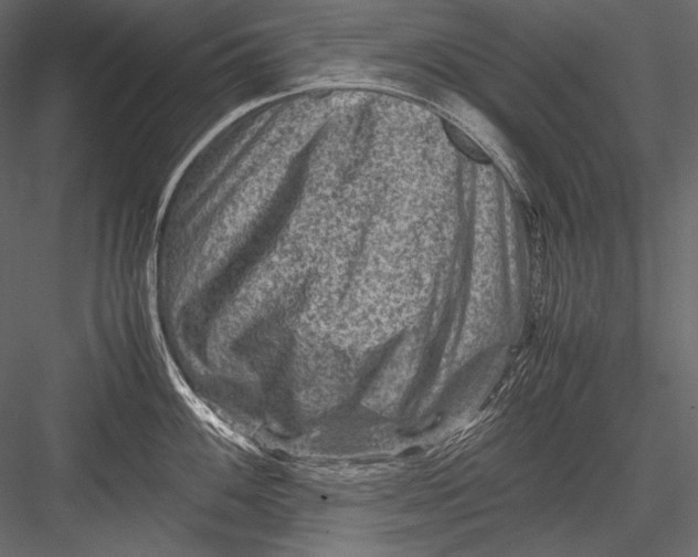 X0000082991100200702230053