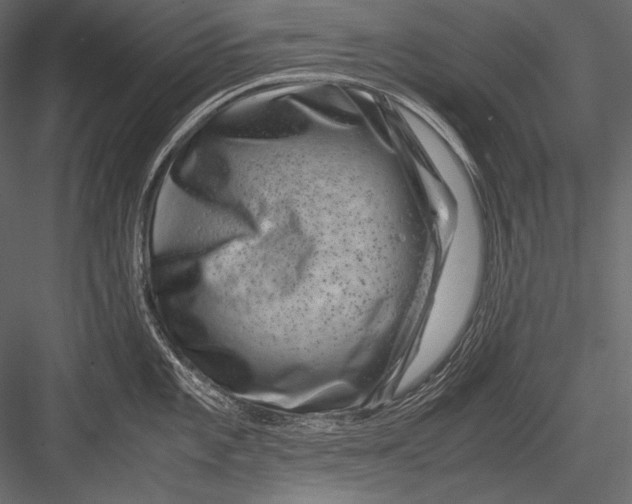 X0000082991101200702230053