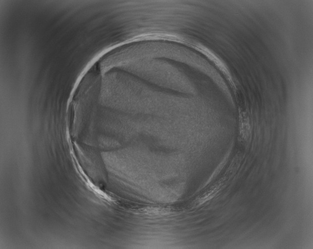 X0000082991102200702230053