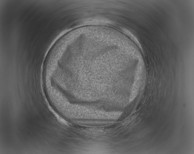 X0000082991103200702230053