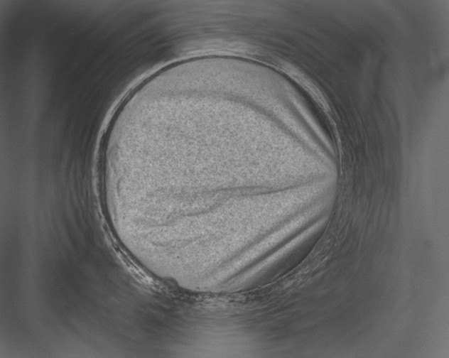 X0000082991104200702230053