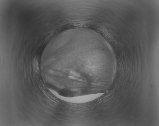 X0000082991106200702230052