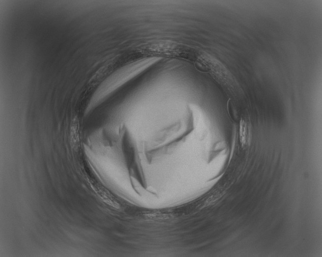 X0000082991107200702230052